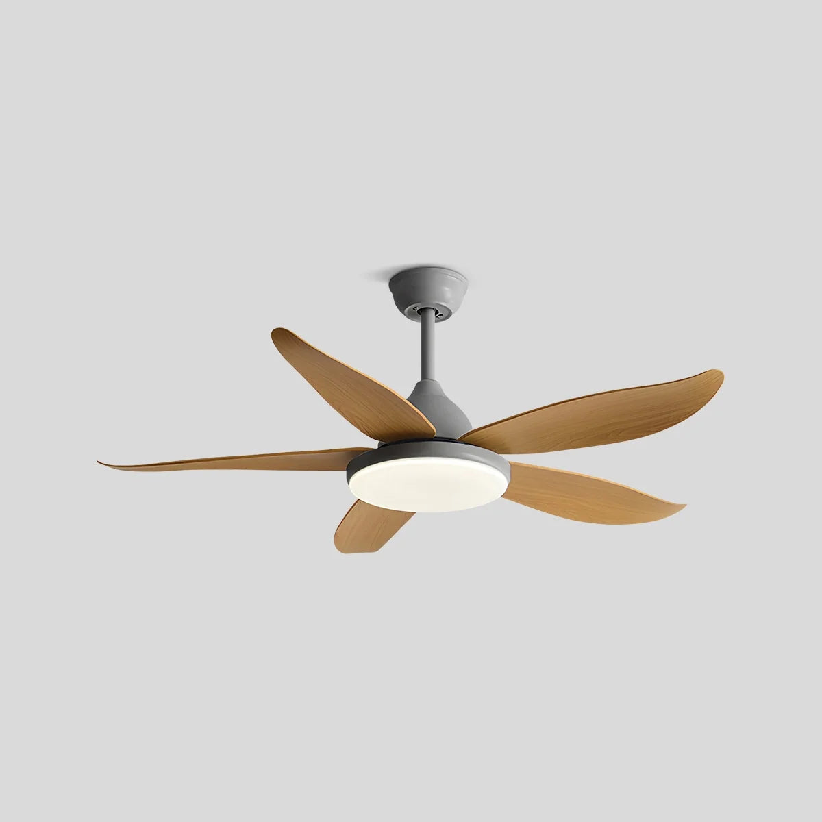 5 Blade Contemporary Ceiling Fan with LED Light