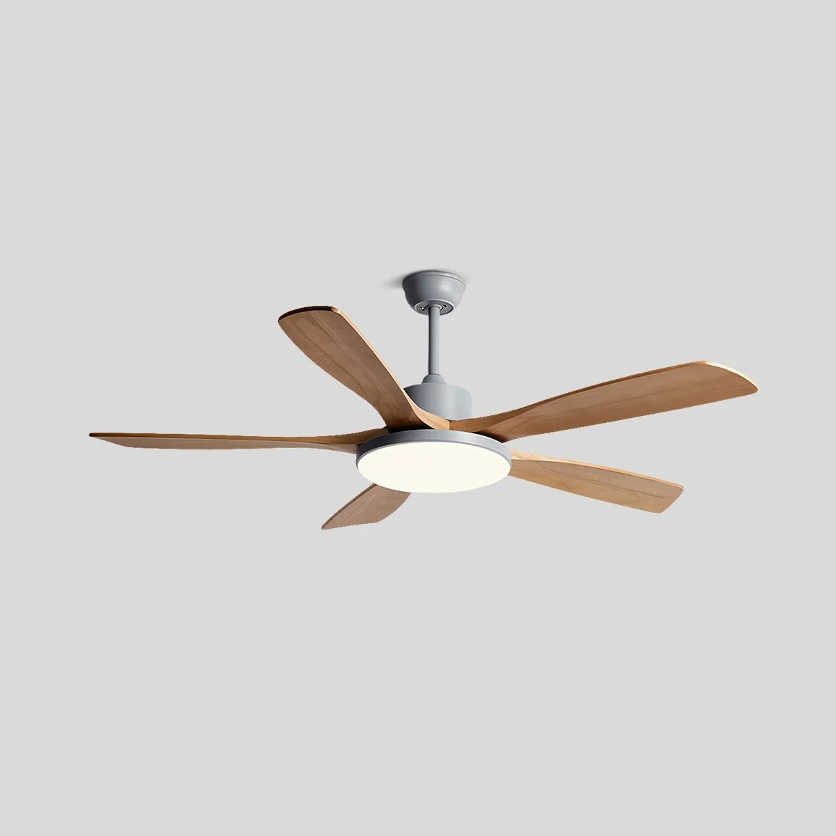 Living Room Minimalist Ceiling Fan with Light