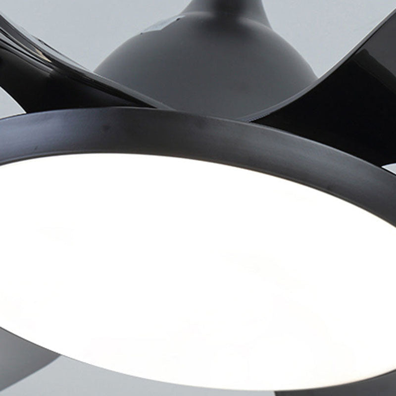 Reversible Large Ceiling Fan Light