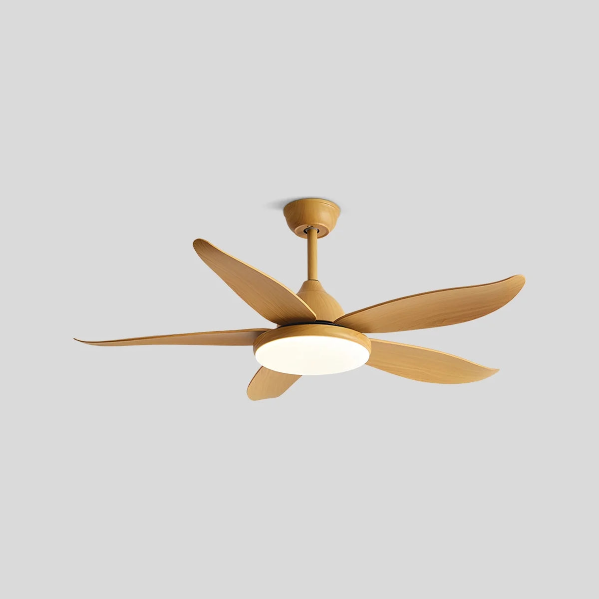 5 Blade Contemporary Ceiling Fan with LED Light