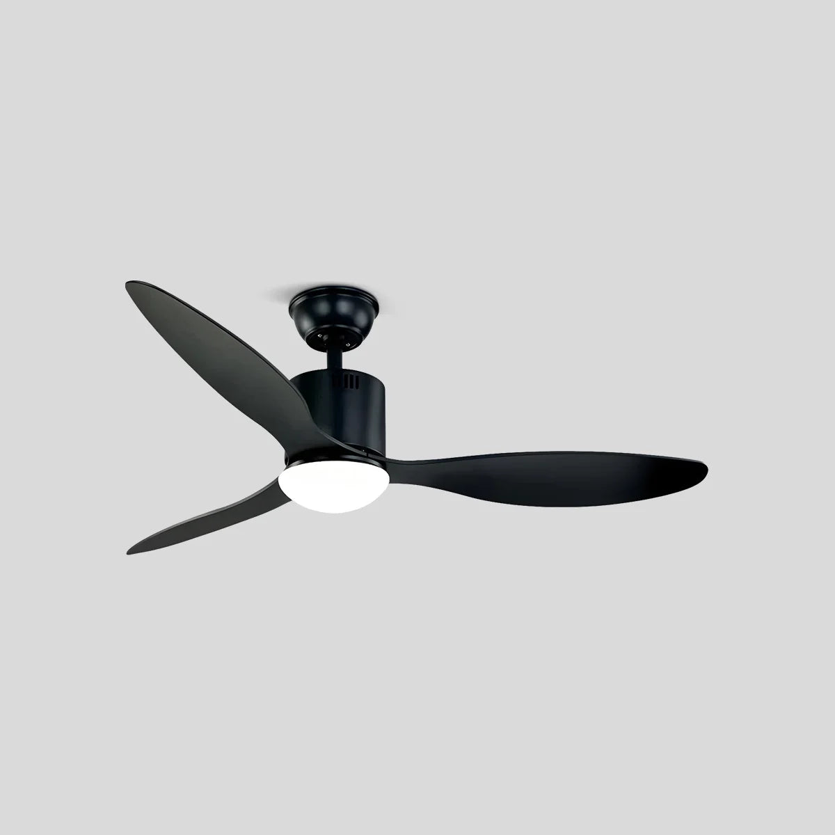 3 Blade Modern Ceiling Fan with Light