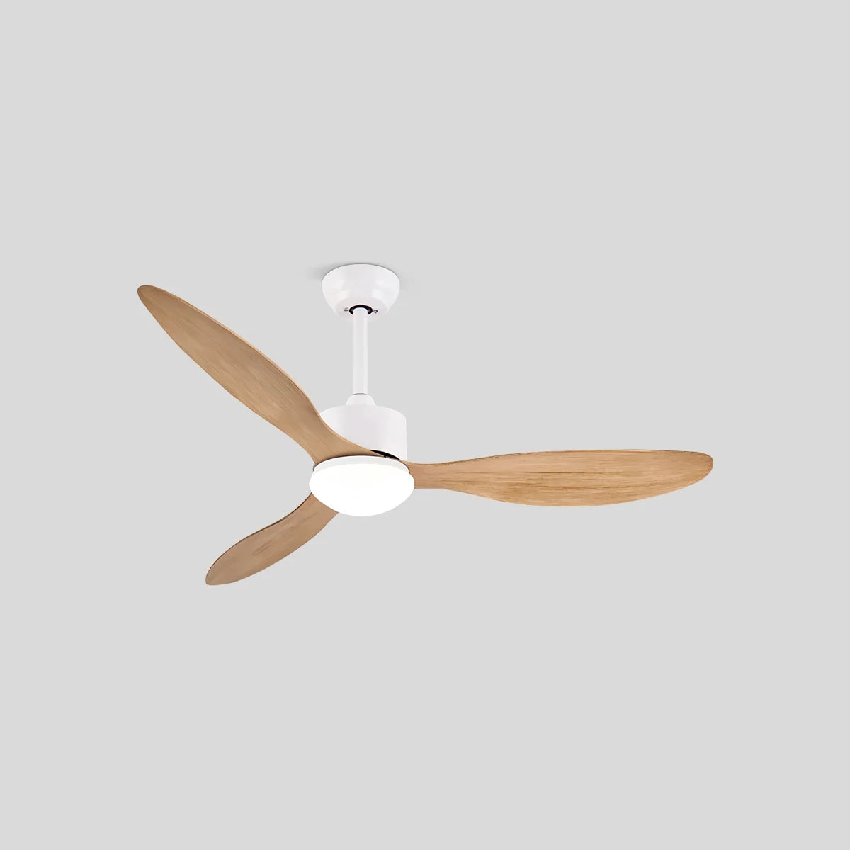3 Blade Modern Ceiling Fan with Light