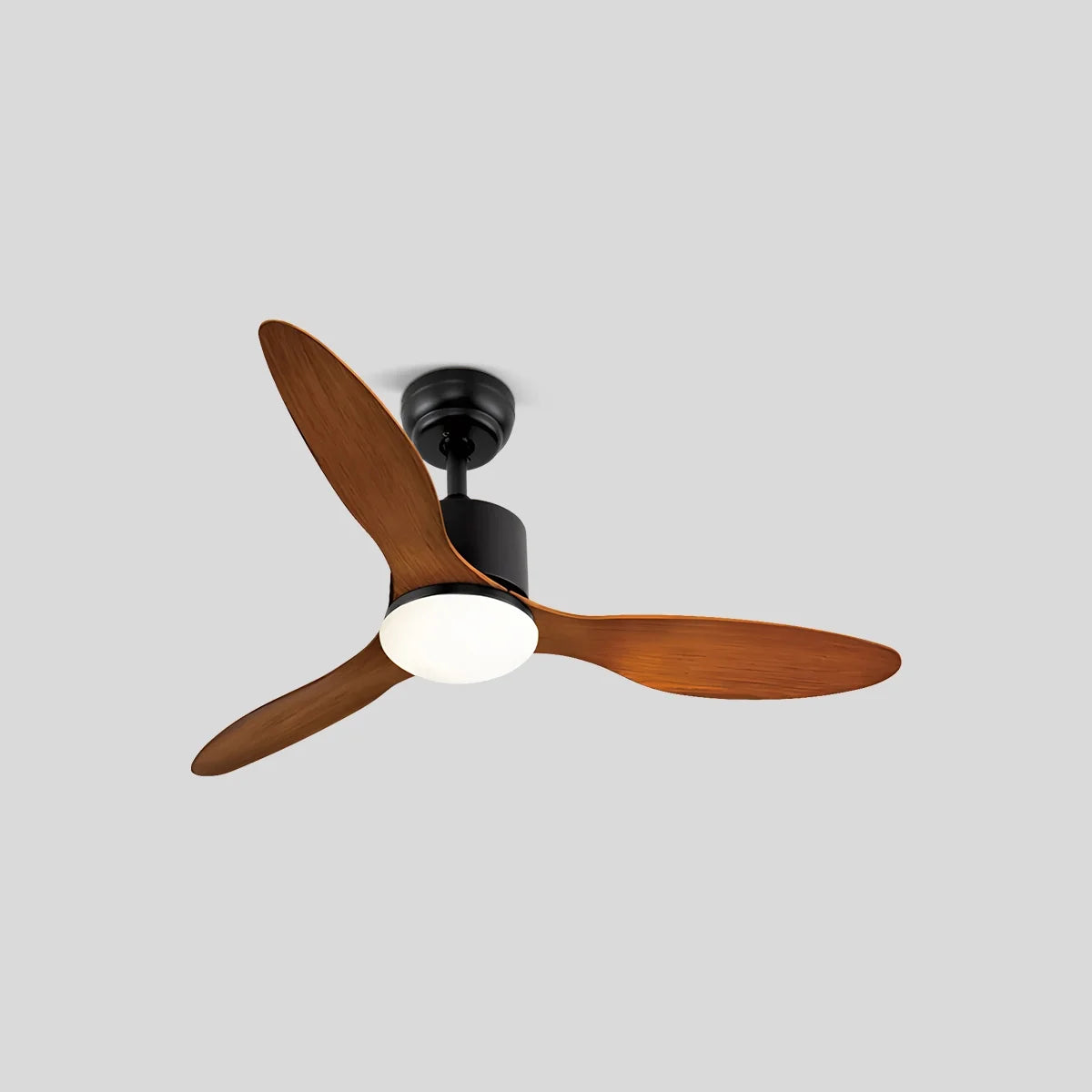 3 Blade Modern Ceiling Fan with Light