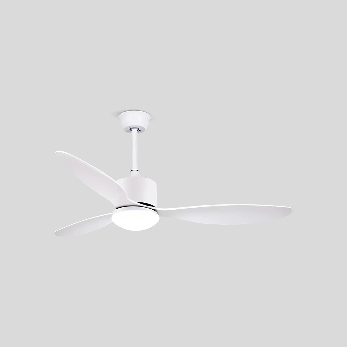 3 Blade Modern Ceiling Fan with Light
