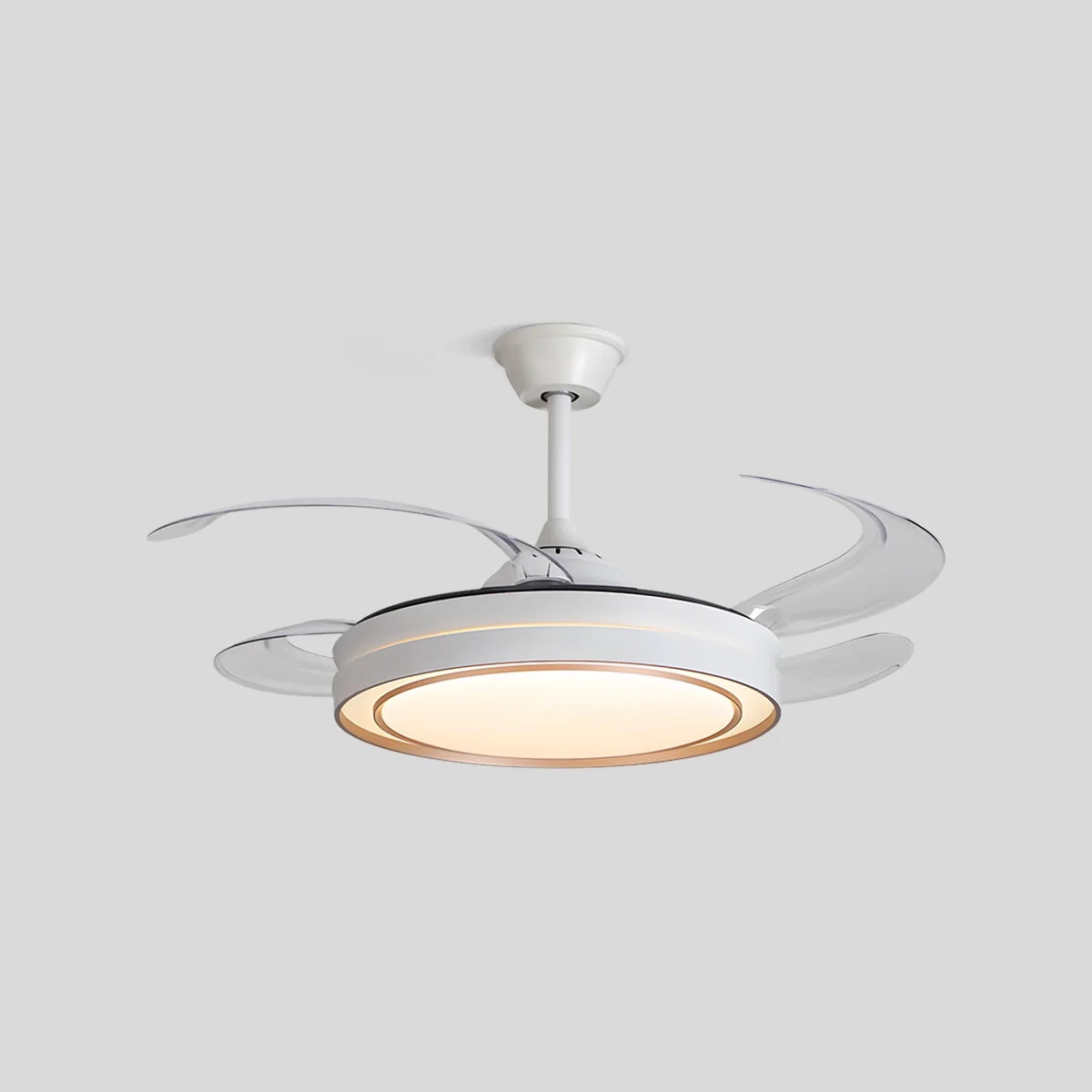 Modern Round Ceiling Fan Light with Remote Control