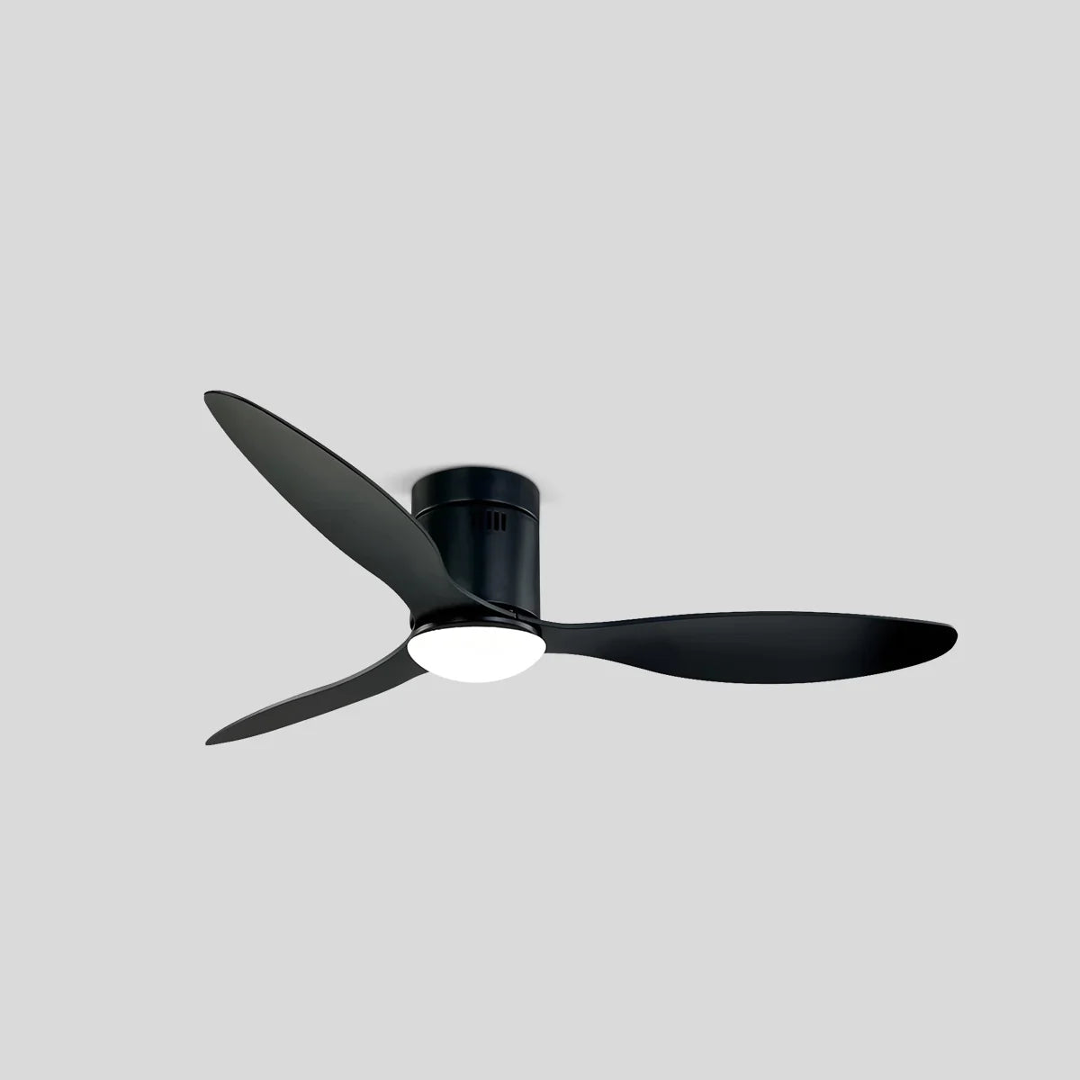 3 Blade Modern Ceiling Fan with Light