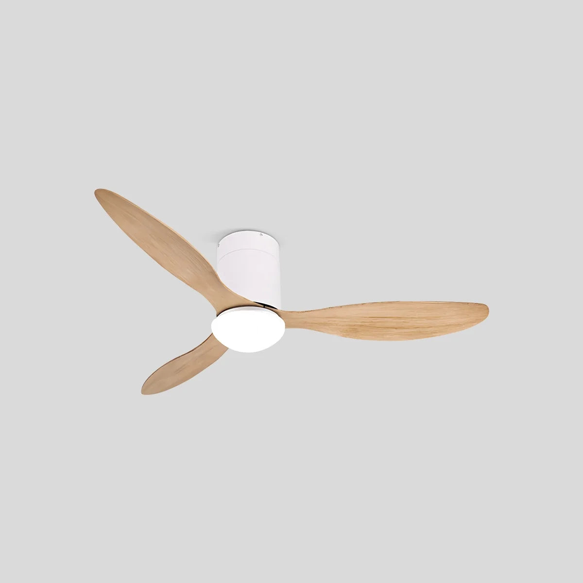 3 Blade Modern Ceiling Fan with Light