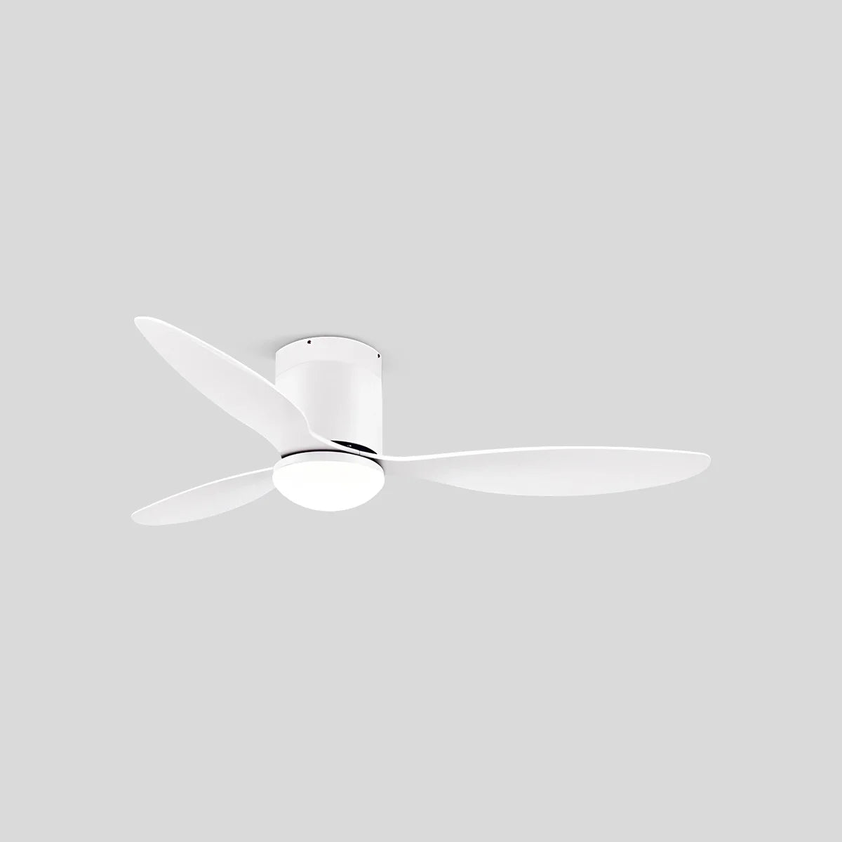 3 Blade Modern Ceiling Fan with Light