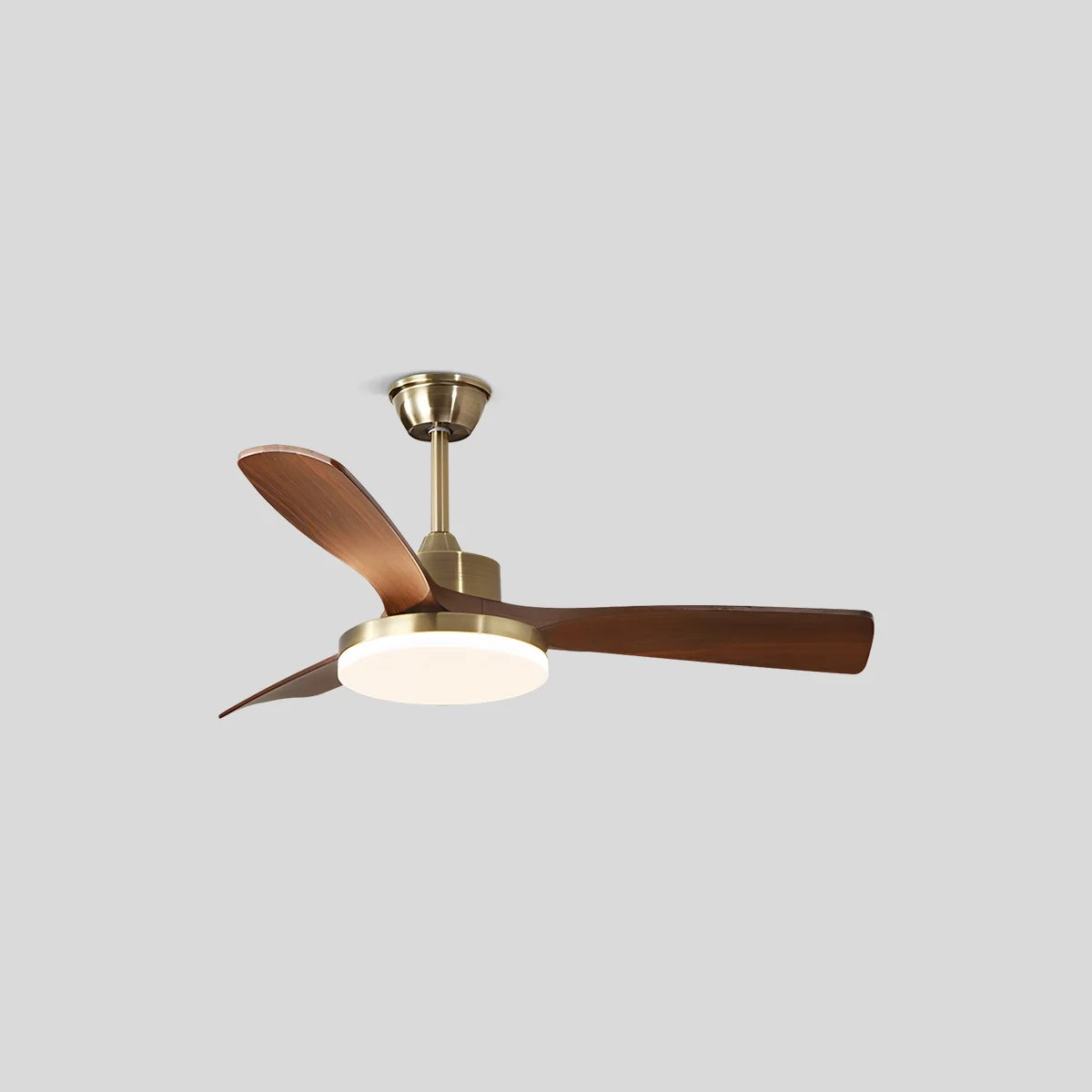 Modern 5-leaf Remote Control Ceiling Fan Light