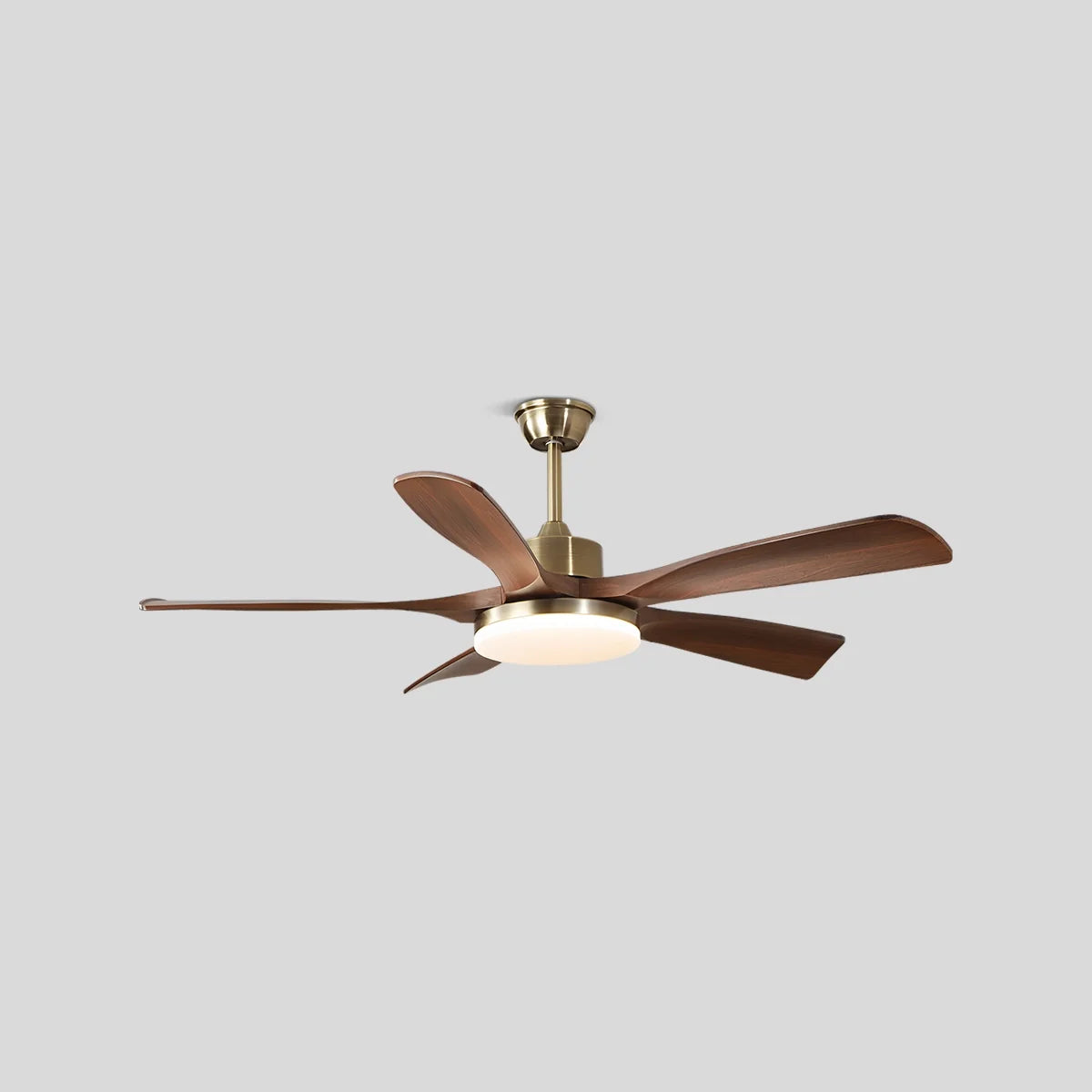 Modern 5-leaf Remote Control Ceiling Fan Light
