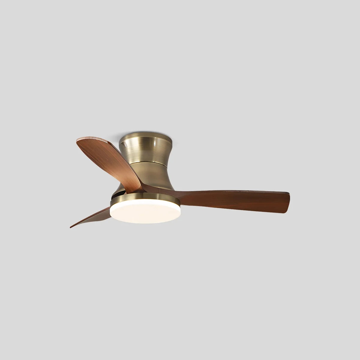 Modern 5-leaf Remote Control Ceiling Fan Light