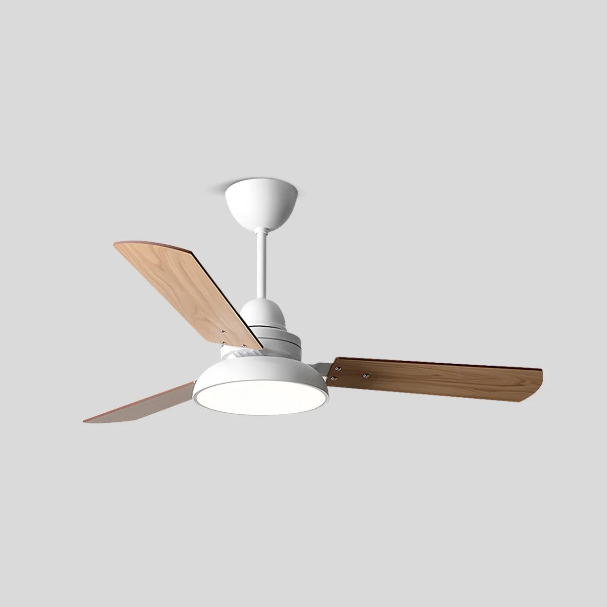 Modern Minimalist Three Leaf Ceiling Fan Light