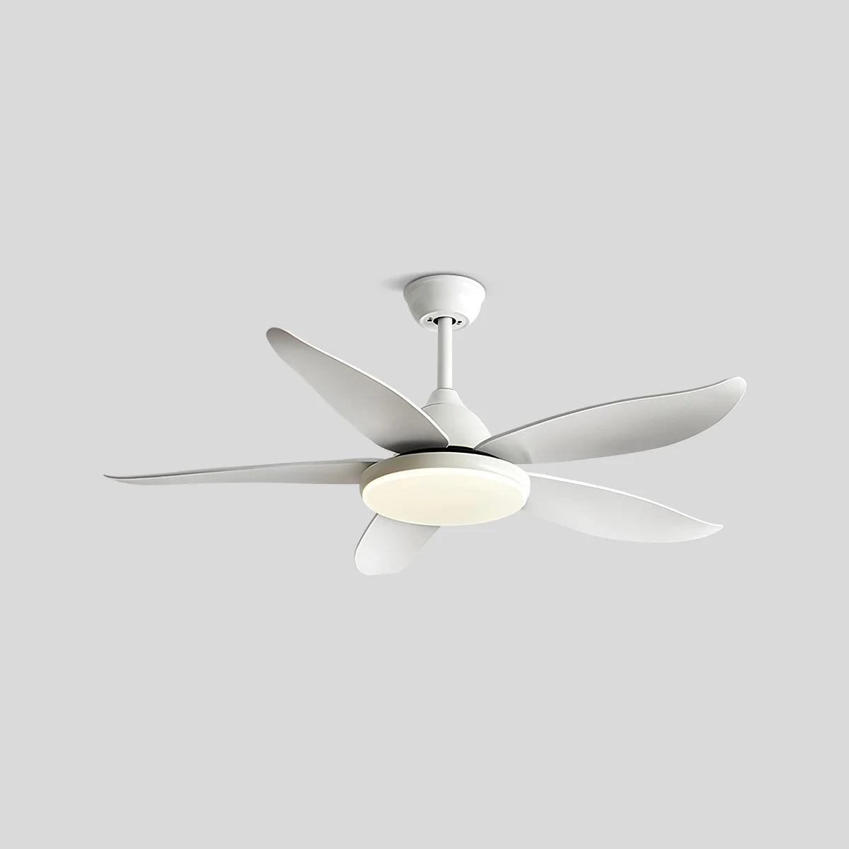 5 Blade Contemporary Ceiling Fan with LED Light