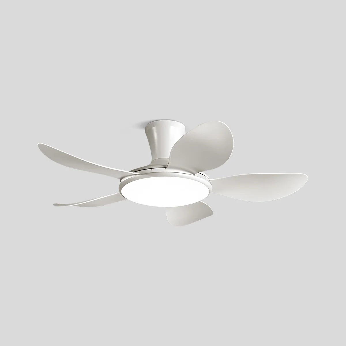 Silent Remote Control LED Ceiling Fan Light