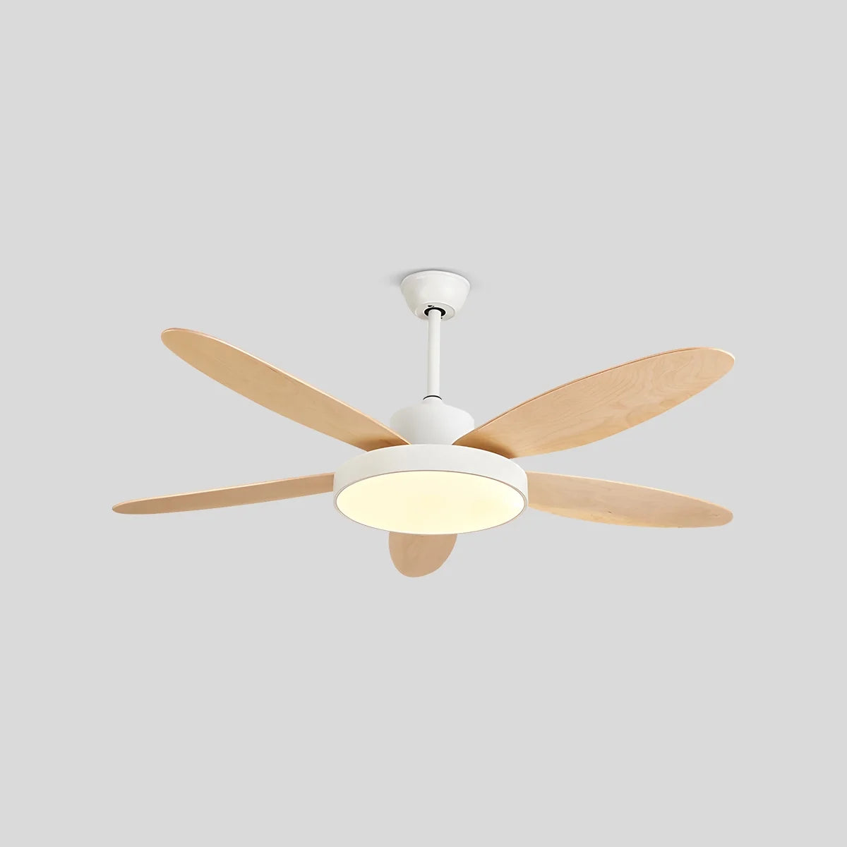 5 Blade Modern Ceiling Fan Lamp for Living Room