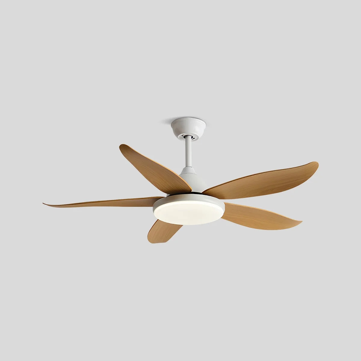 5 Blade Contemporary Ceiling Fan with LED Light