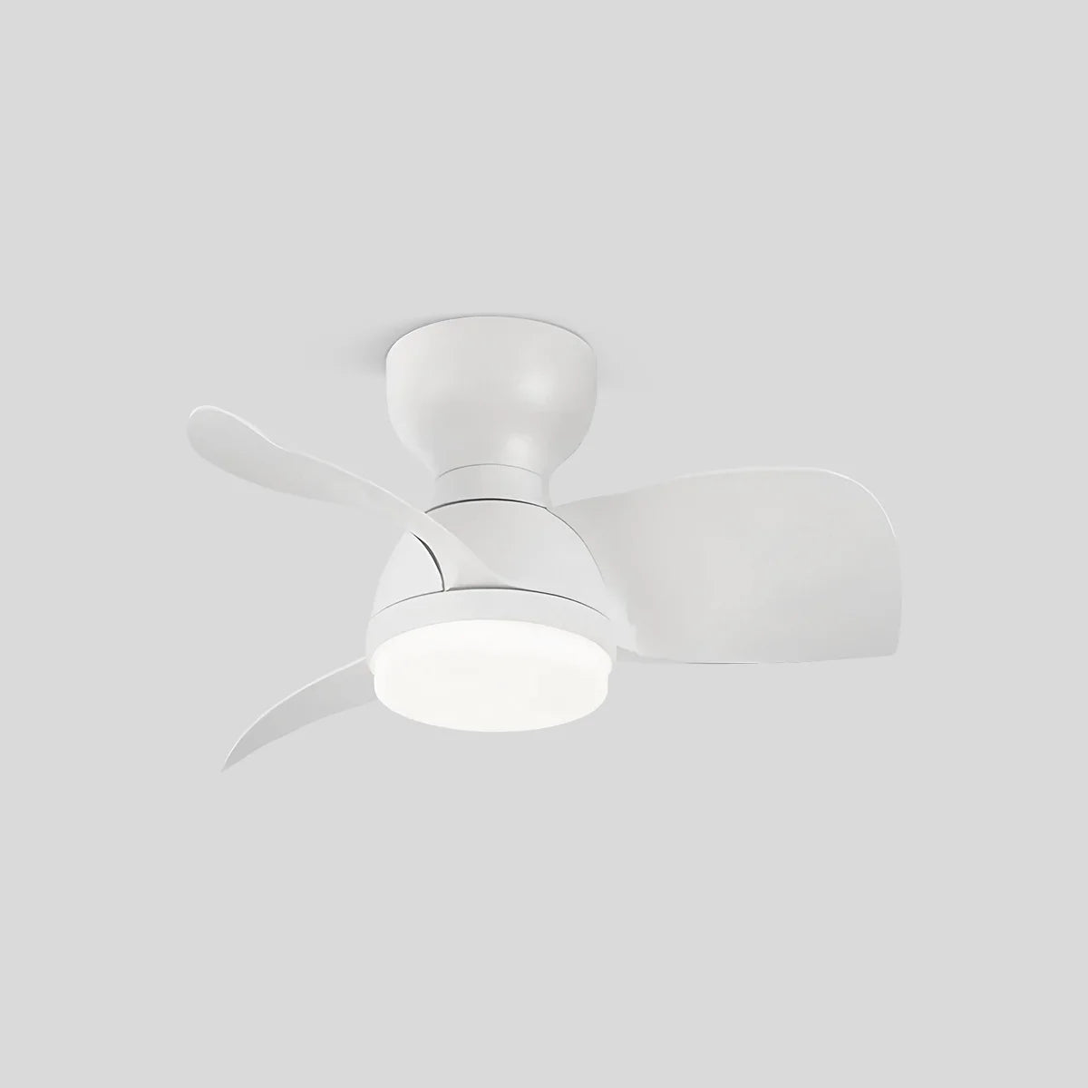Small Flush Mount Ceiling Fan with Light