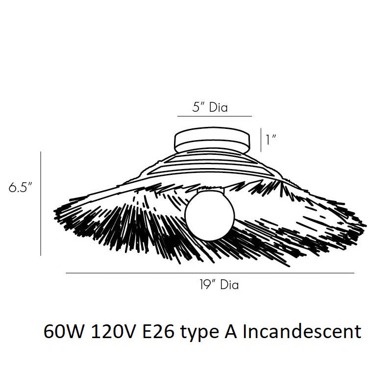 Hayes Wall / Ceiling Light