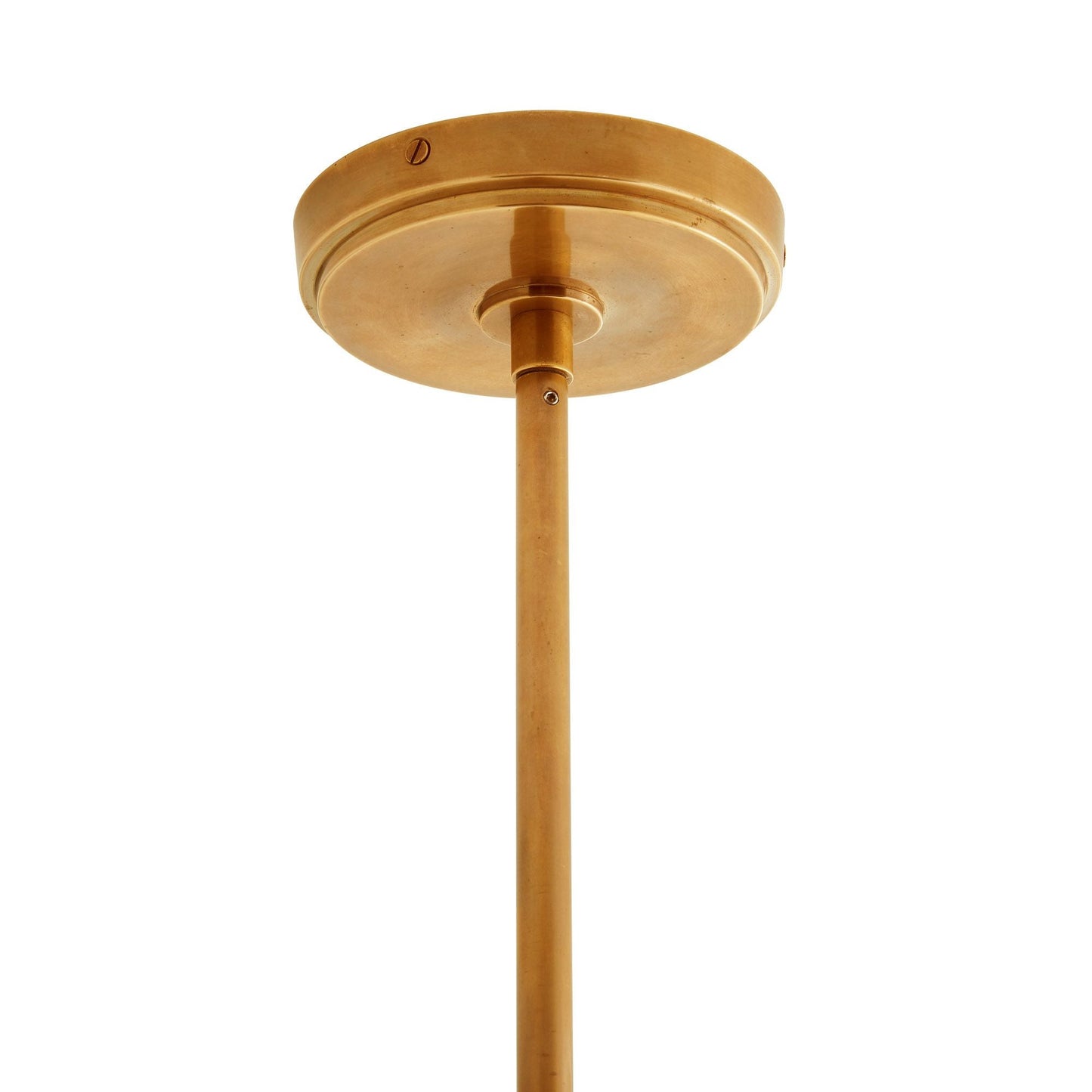 Pavo Pendant Light