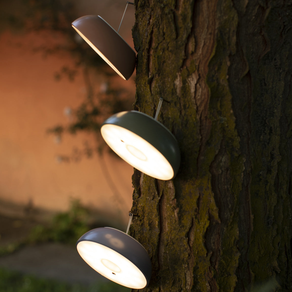 Float Pendant Light