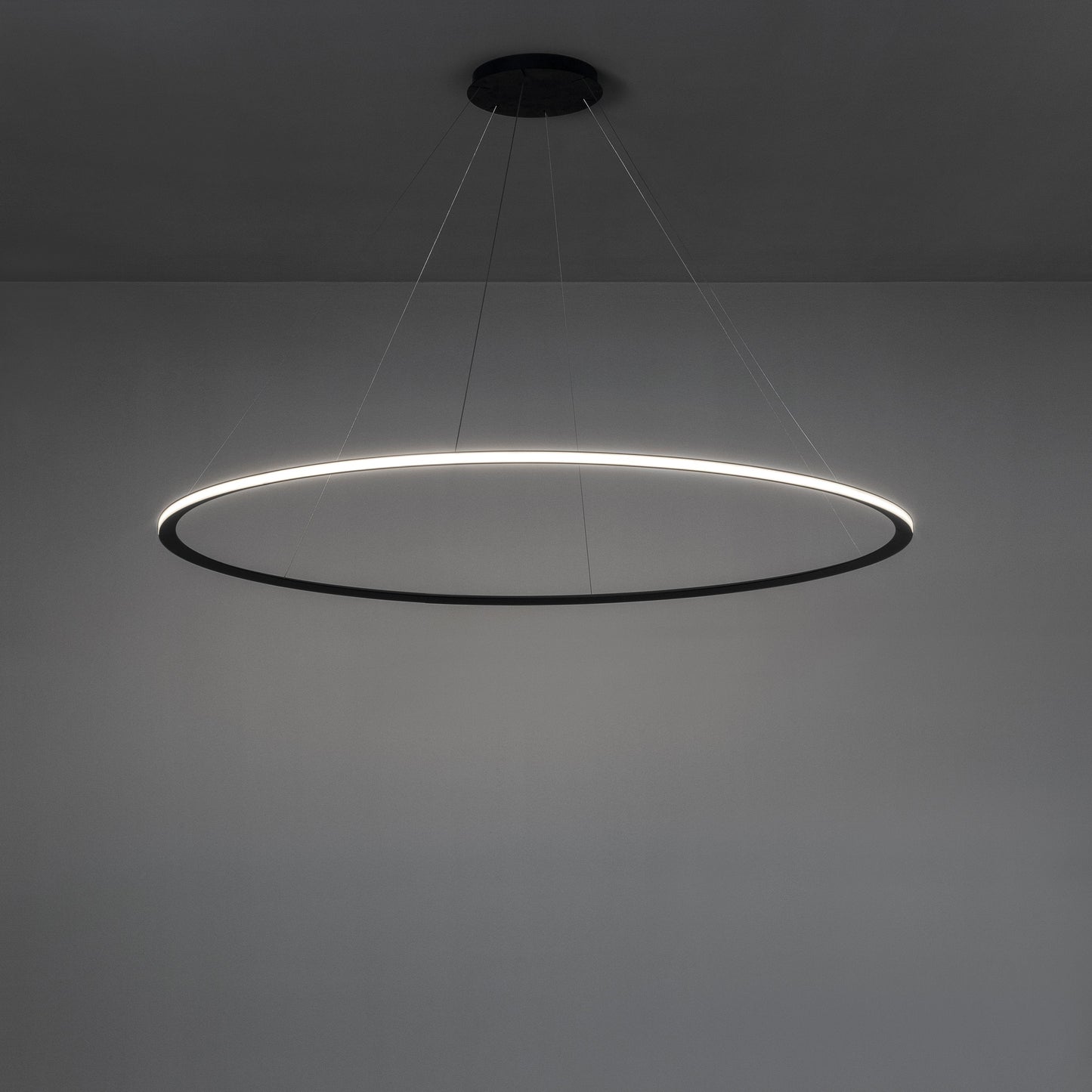 Circular One Ring Pendant Light