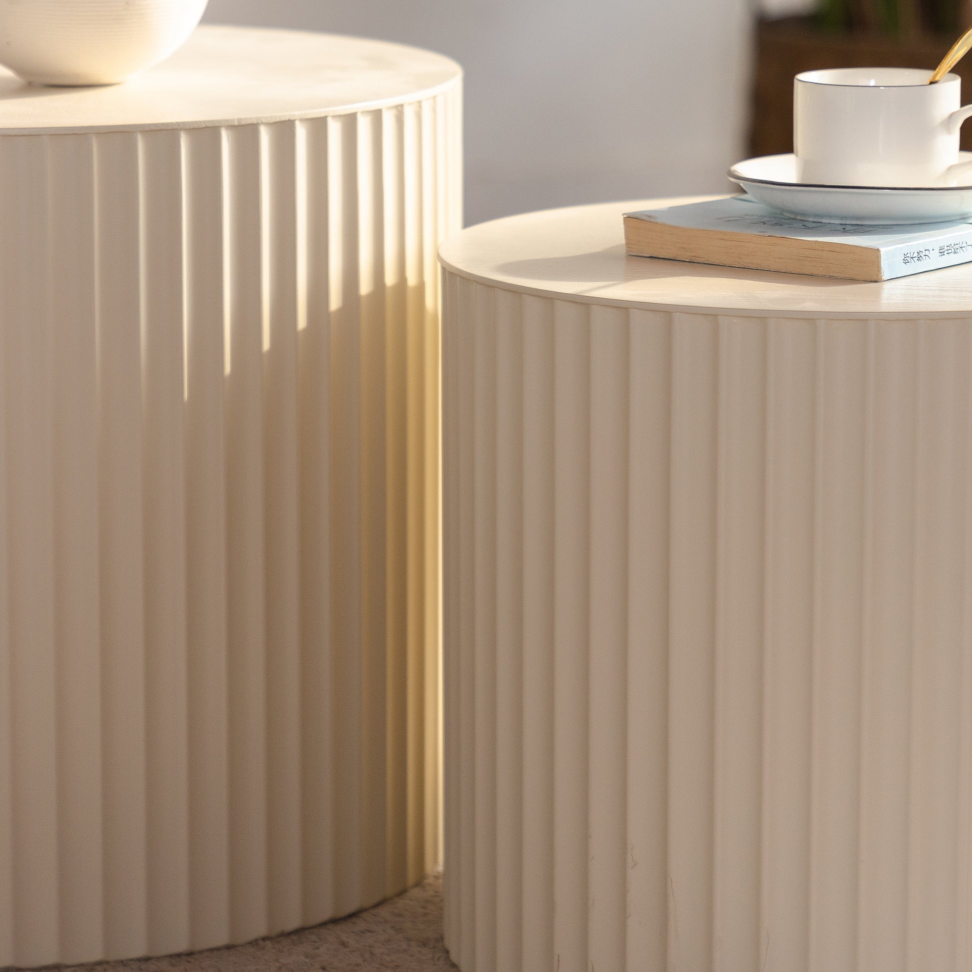 25235091