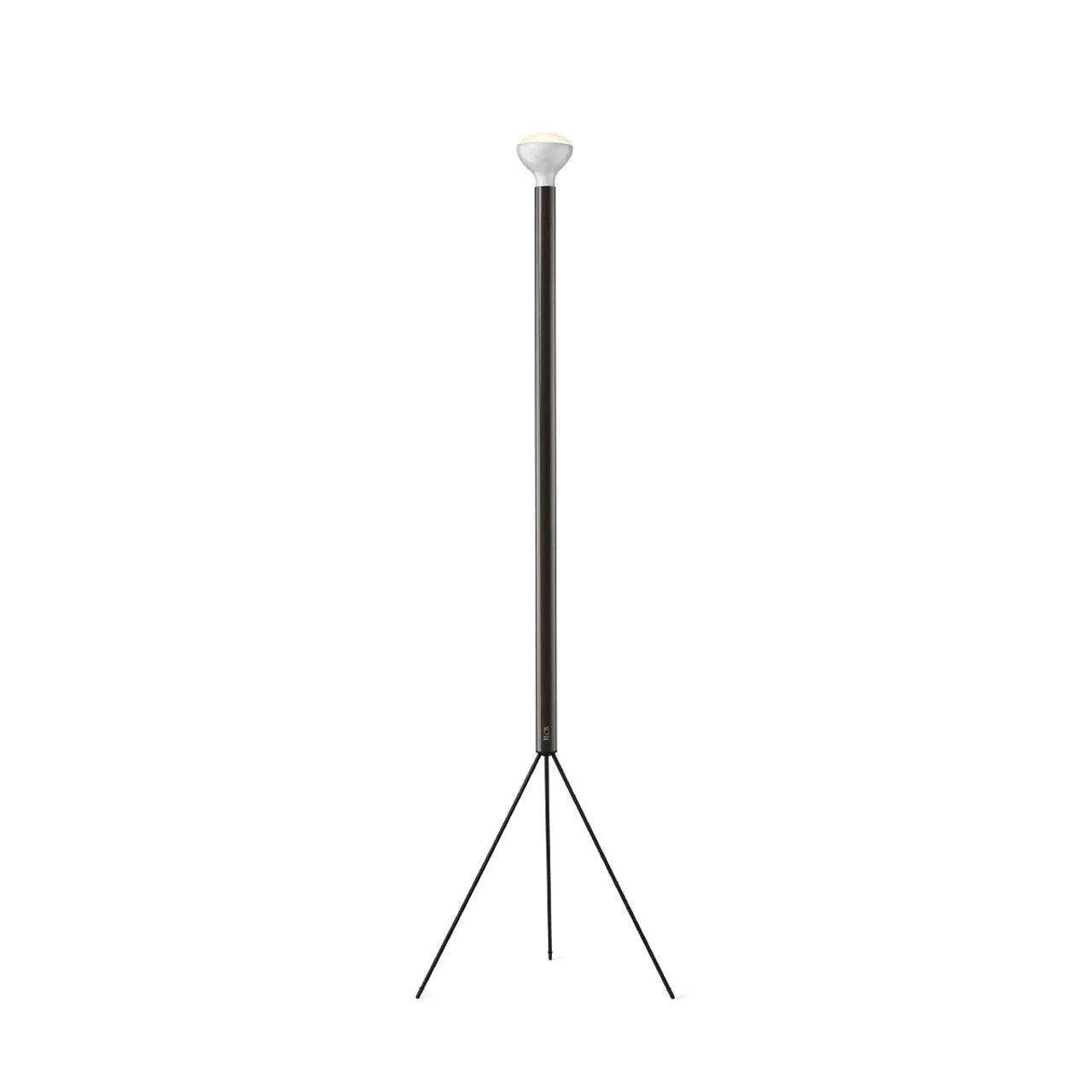 Luminator Floor Lamp
