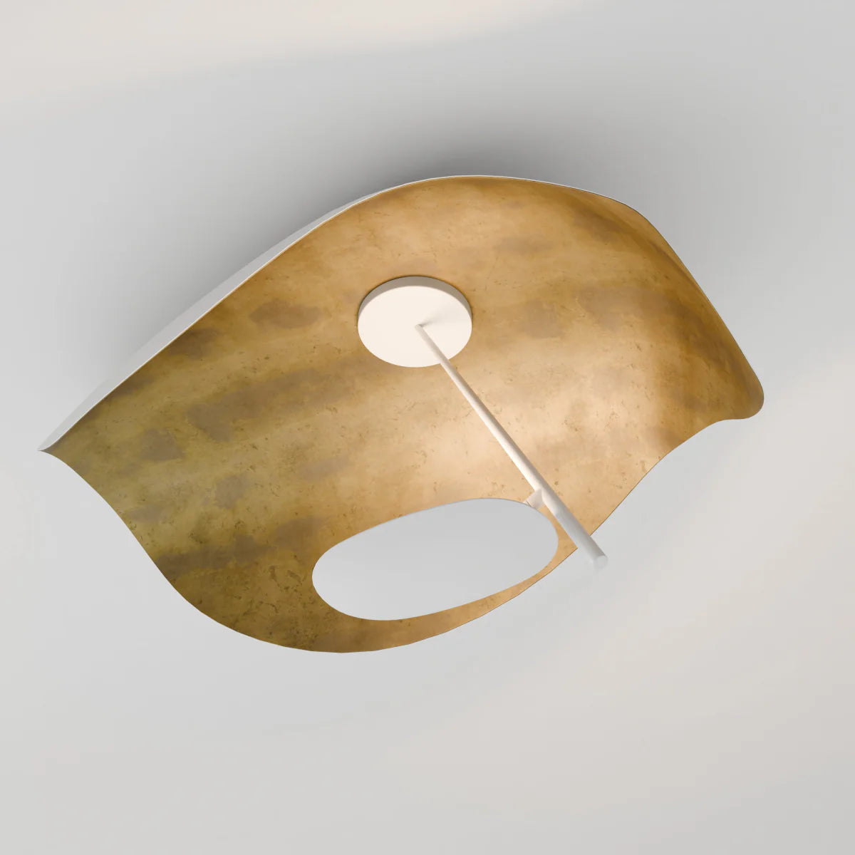 Foglia Ceiling Wall Lamp
