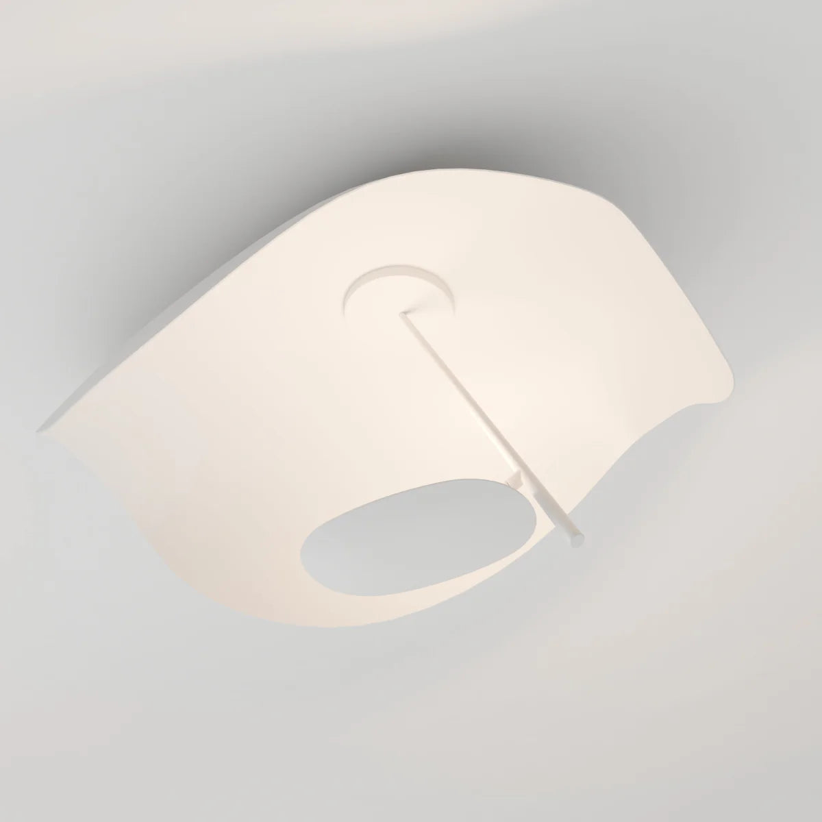 Foglia Ceiling Wall Lamp