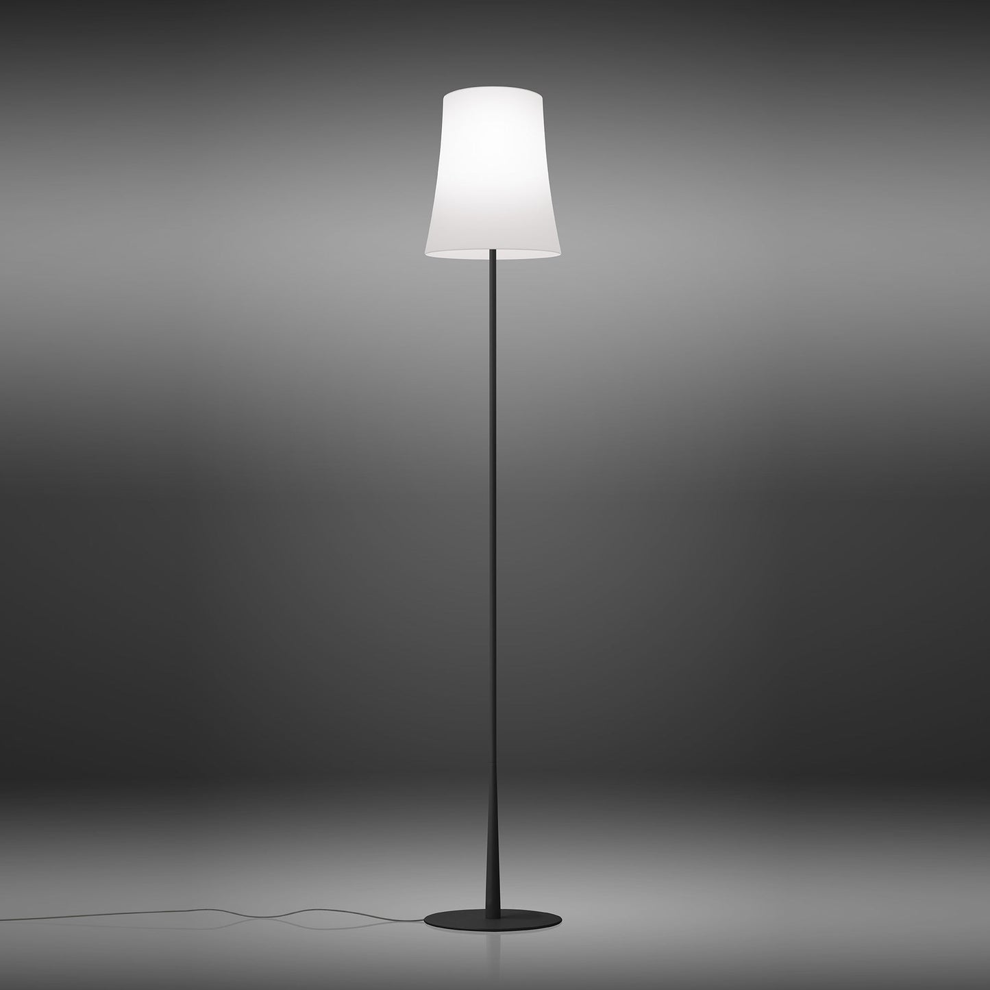 Birdie Easy Lettura Floor Lamp