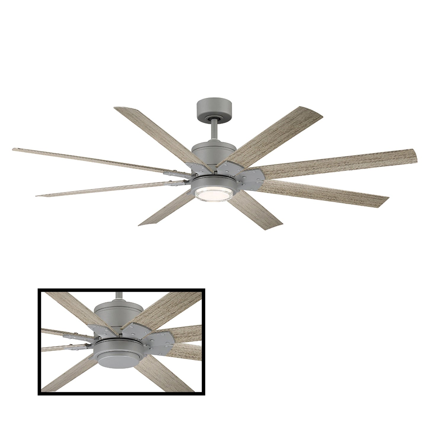 Renegade Indoor/Outdoor Ceiling Fan
