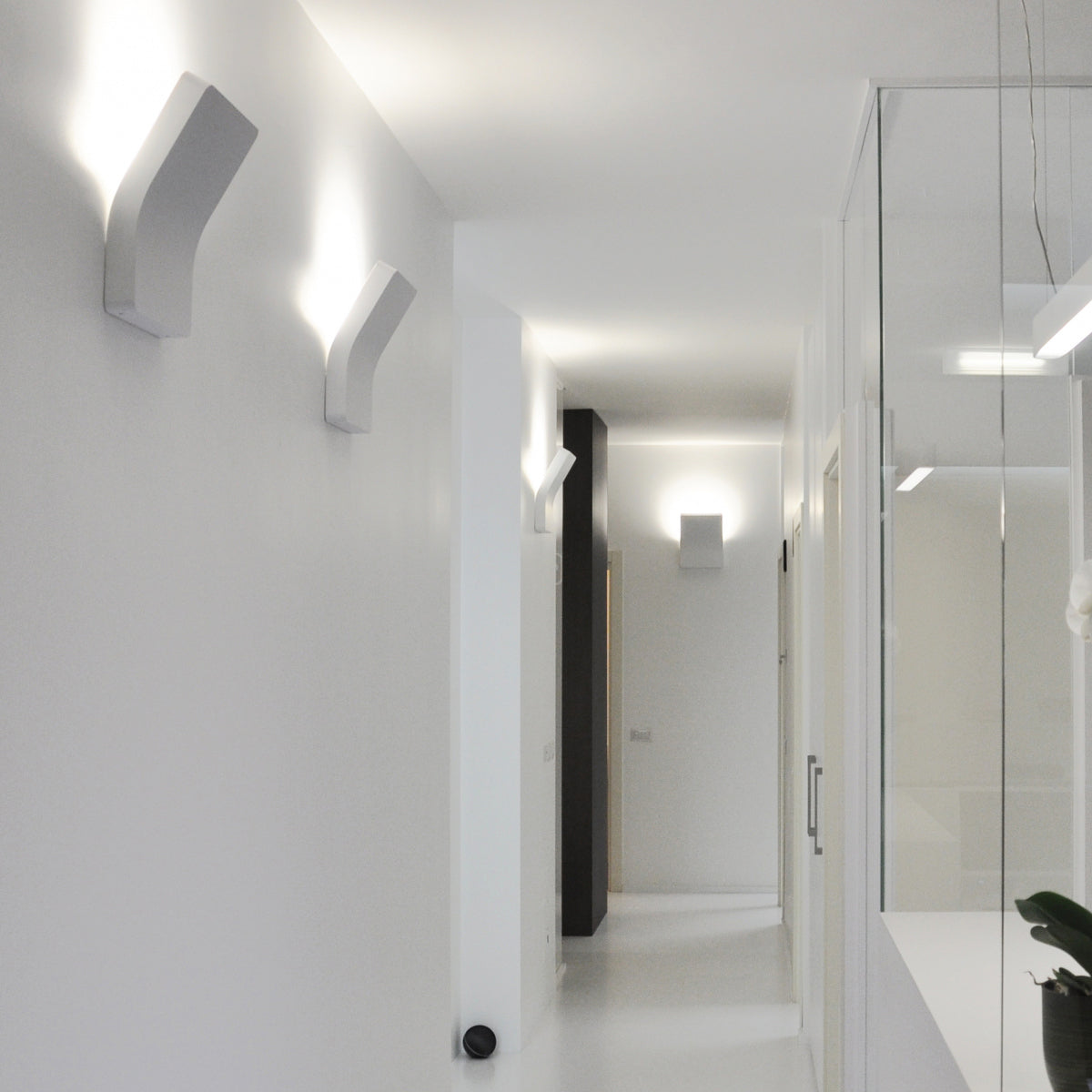Platone W1 Wall Sconce