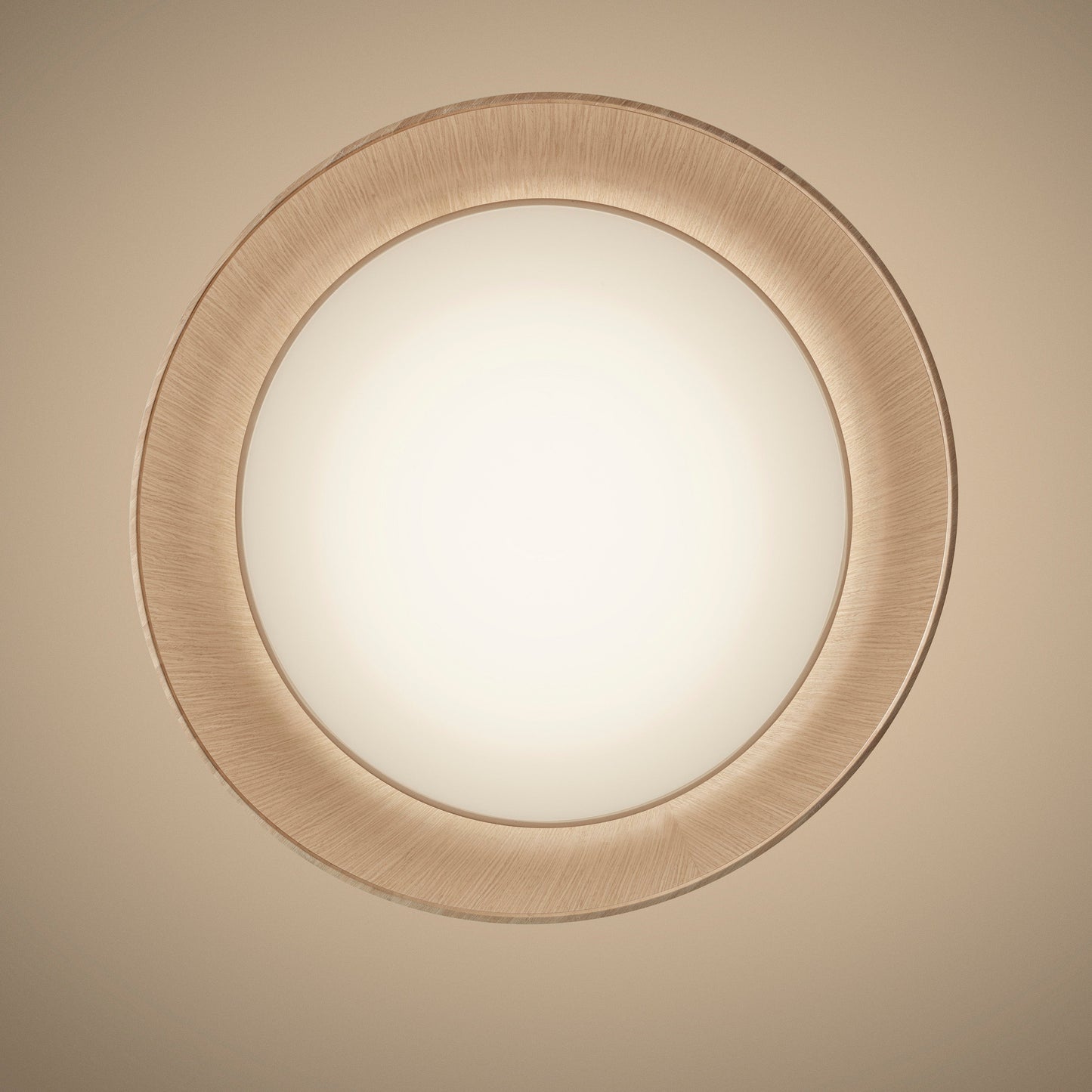 Twiggy Wood Pendant Light