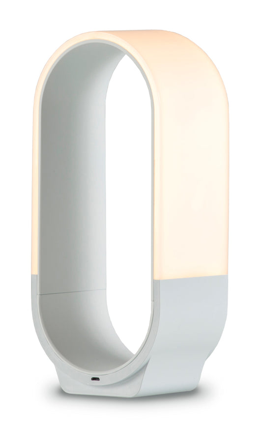 Mr. Go Lantern Light