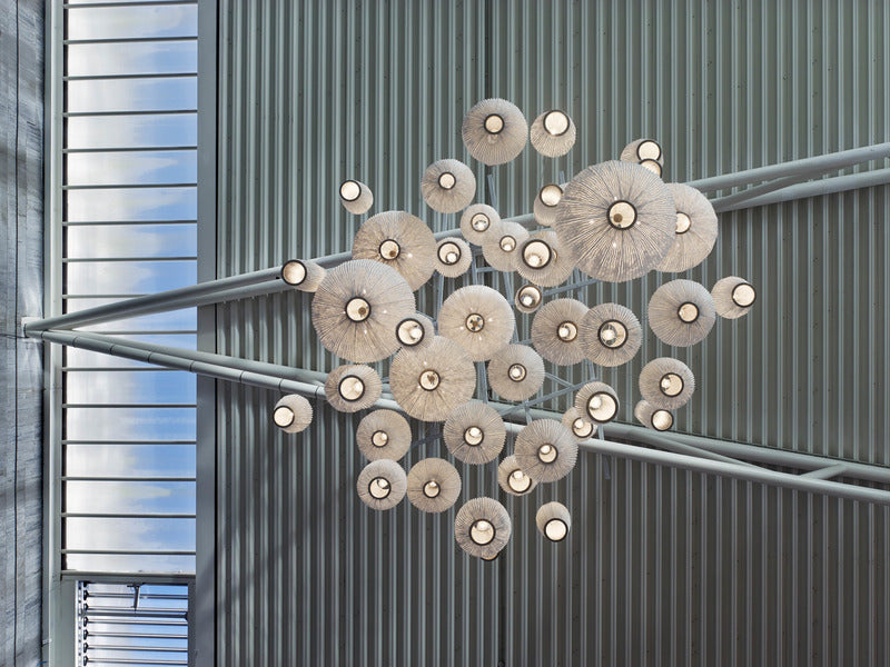 Coral Reef Pendant Light