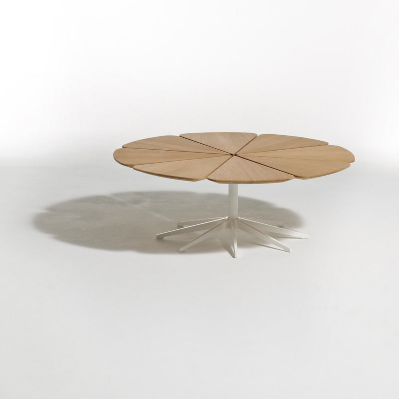 Petal Coffee Table