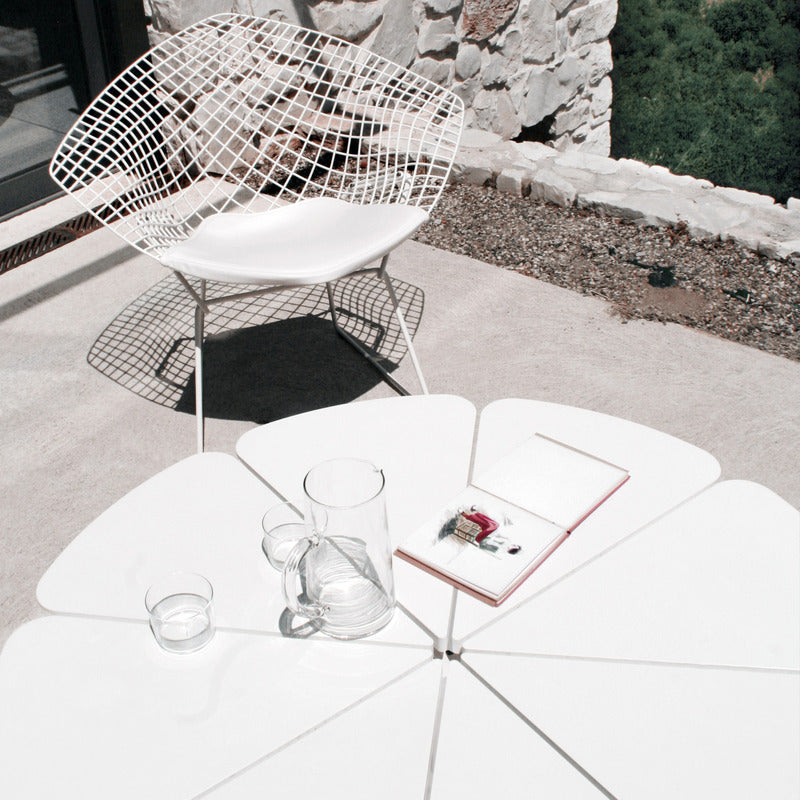 Petal Coffee Table