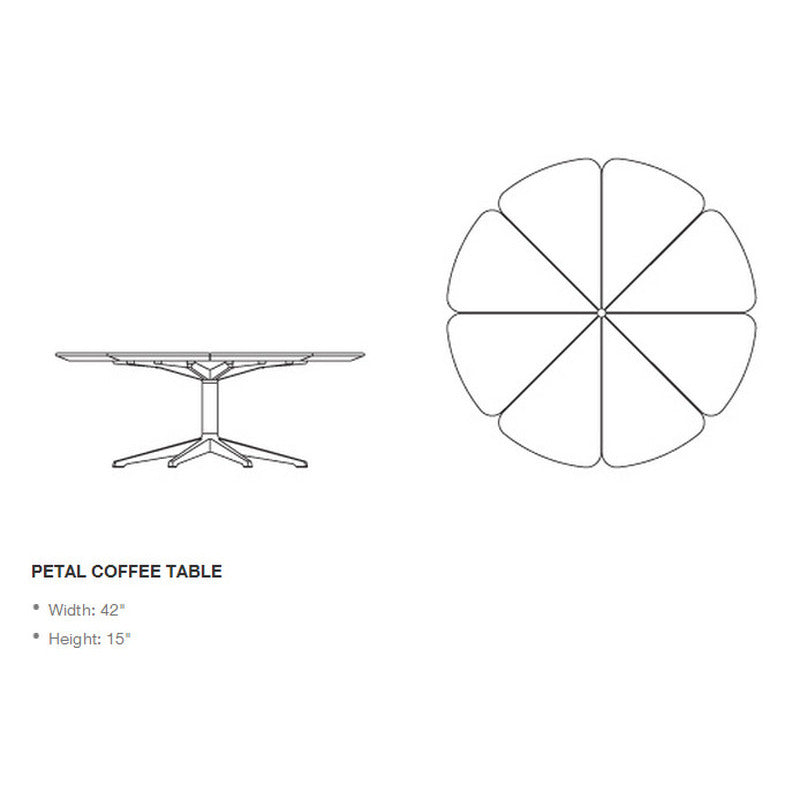 Petal Coffee Table