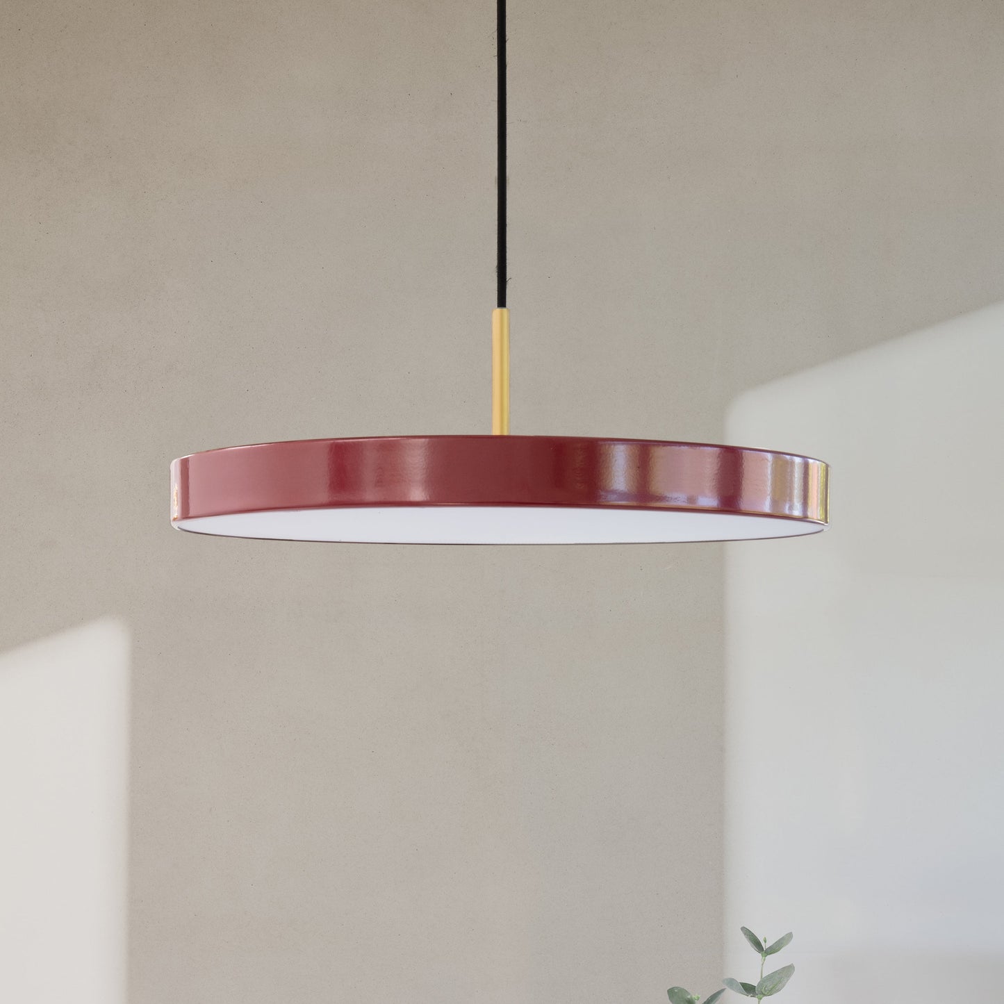 Asteria Pendant Light