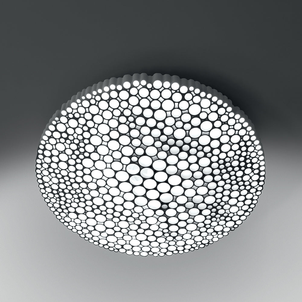 Calipso Wall/Ceiling Light