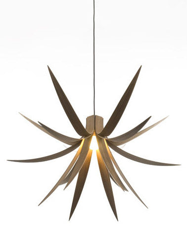 Iris Pendant Light