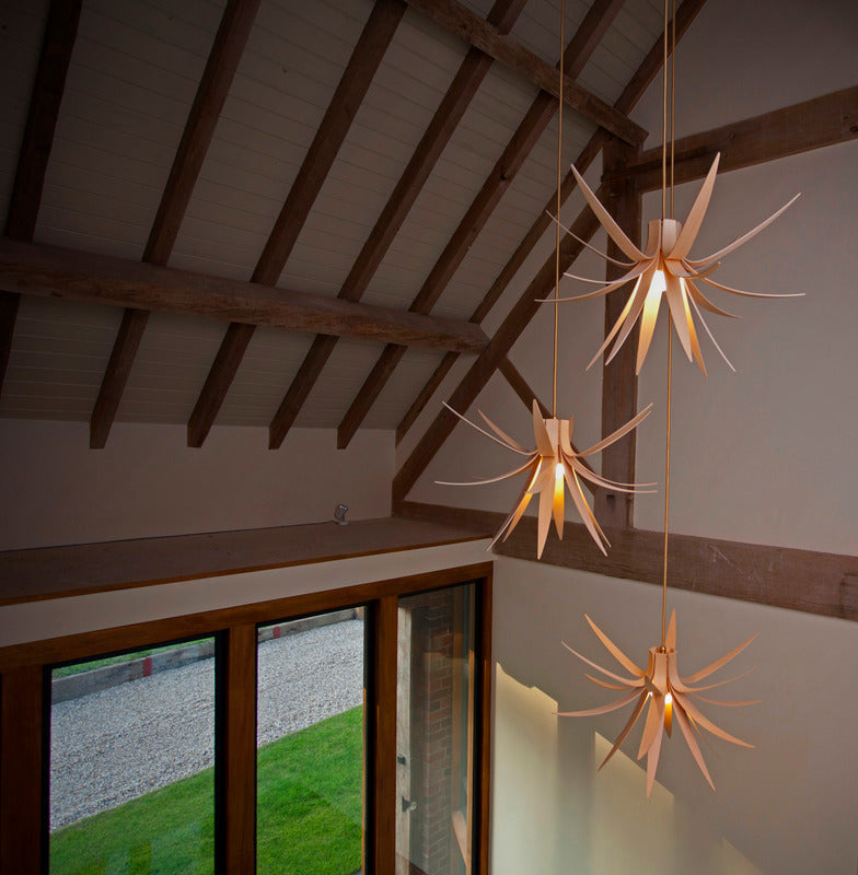 Iris Pendant Light