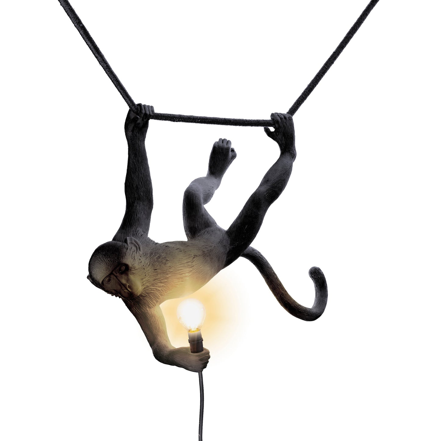 Monkey Outdoor Swing Lamp