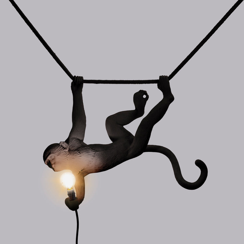 Monkey Outdoor Swing Lamp