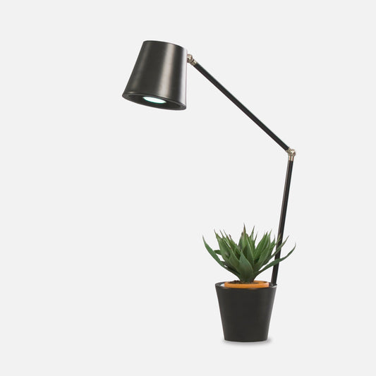 Cap Table Lamp