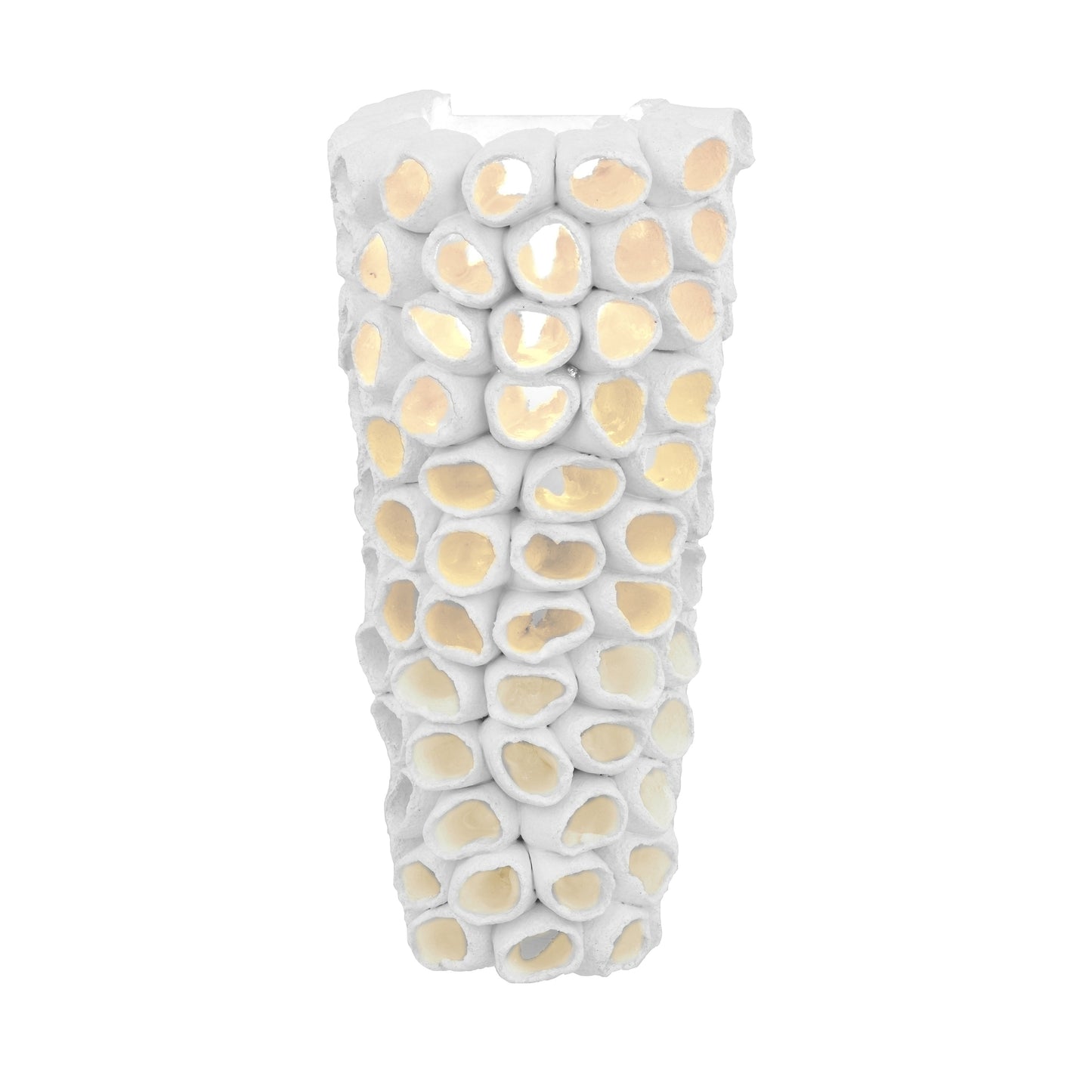 Reef Cone Wall Sconce