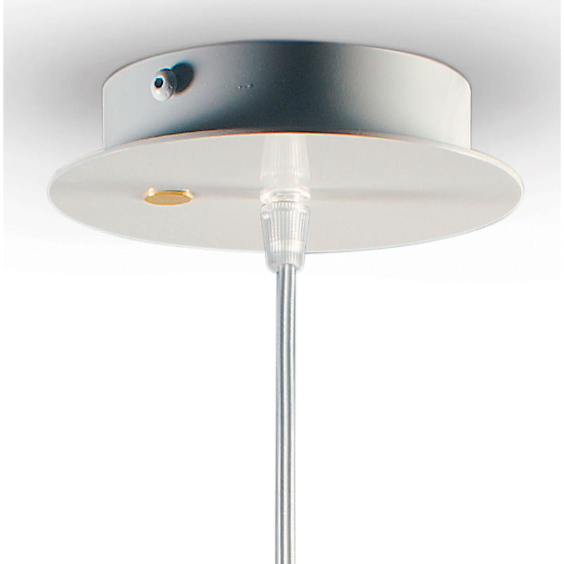 Naturofantastic Pendant Light