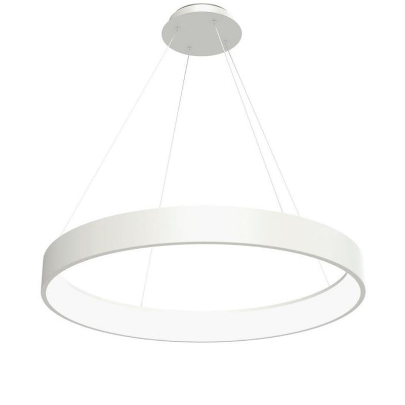 Circuit Pendant Light