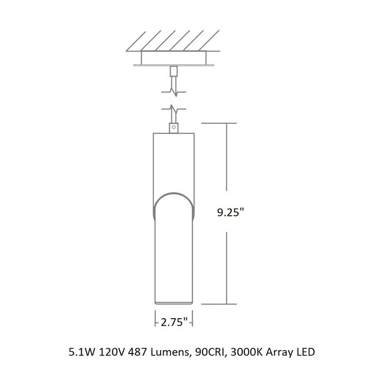 Ellipse Tall Pendant Light