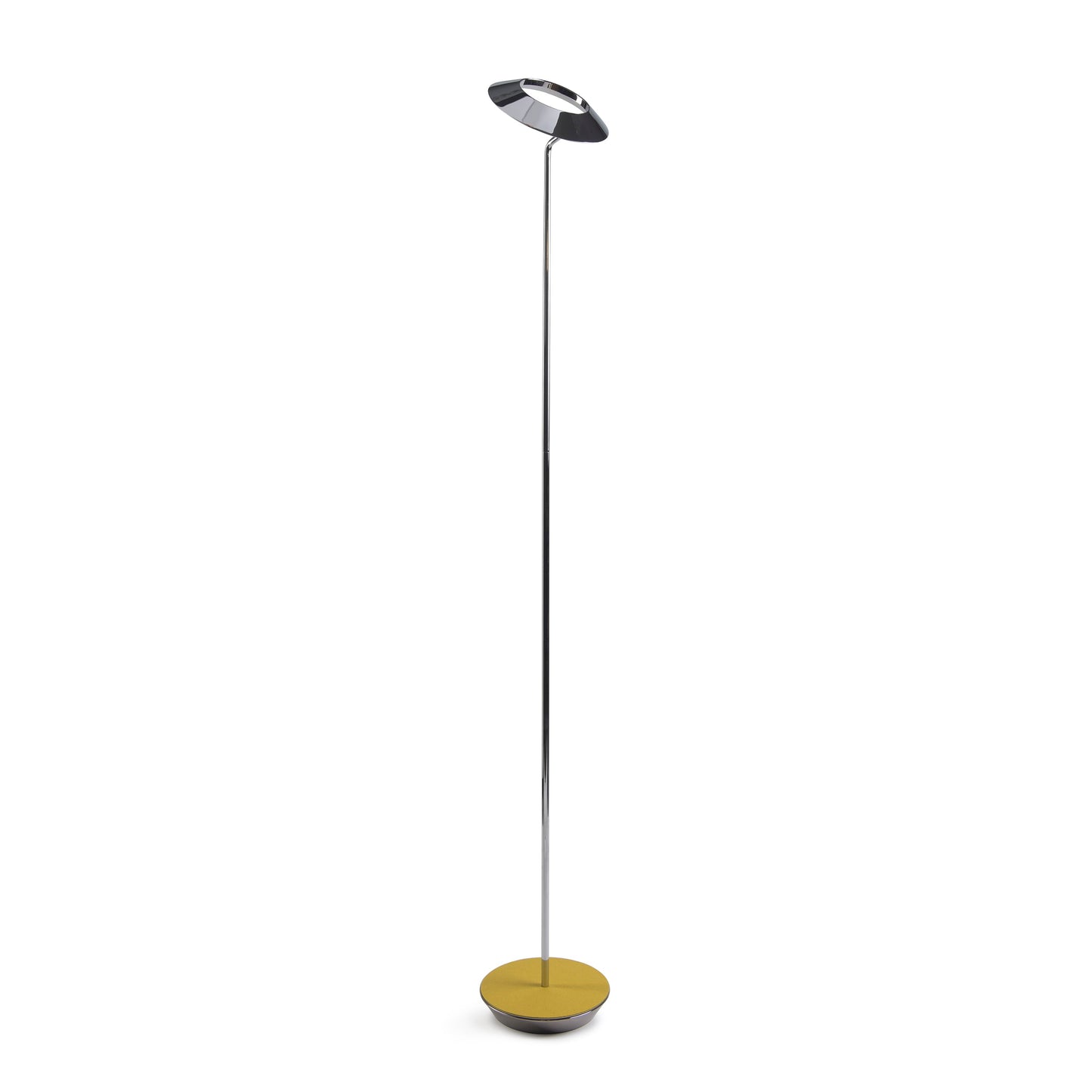 Royyo Floor Lamp